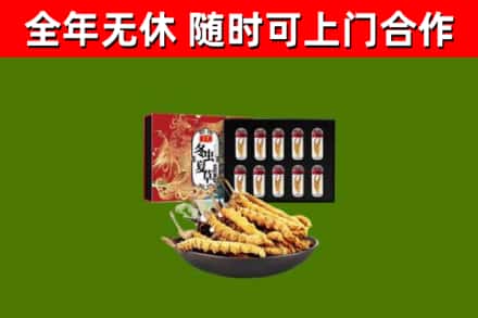 三角镇回收冬虫夏草价格