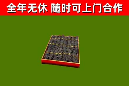 三角镇回收海参